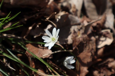 tmp_imgresize (4).jpg