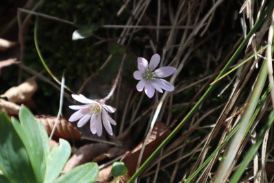 tmp_imgresize (5).jpg