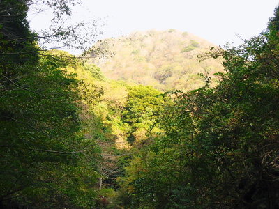 ヨサ禿が見える.JPG (152.22 KiB) 閲覧された回数 4575 回 ● ヨサハゲが見える、宝の山なんだ