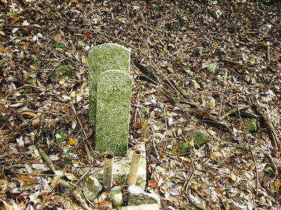 ● この二重に重ねられてるお墓、文字が読めなかったワン