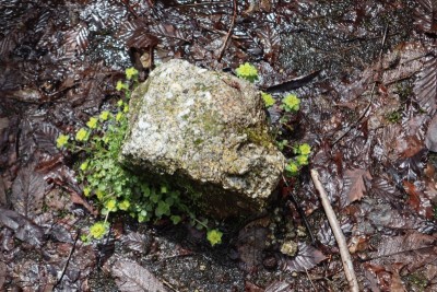 tmp_imgresize (1).jpg