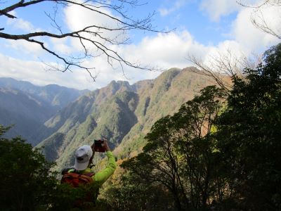 大杉国見山_稜線1S.jpg