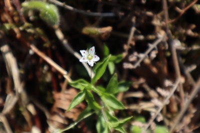 tmp_imgresize (8).jpg