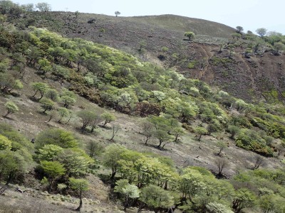 P5100043.jpg (307.35 KiB) 閲覧された回数 6268 回 羊の放牧場にはもう一息