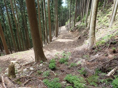 牛道利用キャタピラ道のはじまり