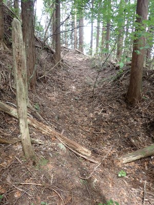 P5280079.JPG (355.18 KiB) 閲覧された回数 6949 回 牛道