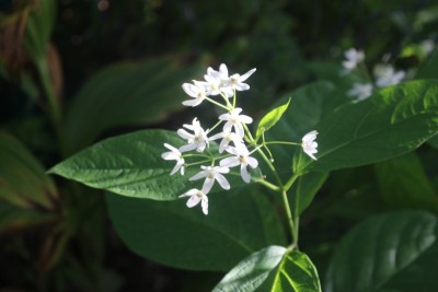 tmp_imgresize (1).jpg