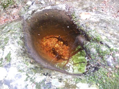 20230624-23.jpg (119.55 KiB) 閲覧された回数 2435 回 20230624-23.jpg