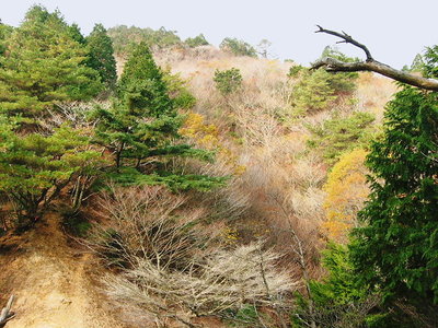 ● 奥座敷への渡り