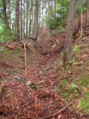 桃ノ木尾の牛道