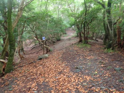 P7150050.JPG (325.1 KiB) 閲覧された回数 5041 回 追分