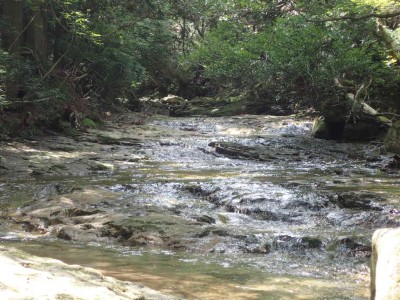 P7210017.jpg (106.38 KiB) 閲覧された回数 4404 回 赤ナメ