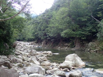 P7210023.jpg (100.07 KiB) 閲覧された回数 4402 回 神崎川