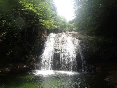 P7210039.jpg (71.85 KiB) 閲覧された回数 4402 回 6mすだれ状の滝