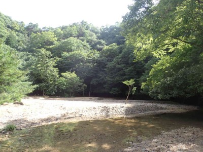 P8020021.jpg (97.14 KiB) 閲覧された回数 5997 回 大堰堤の上流