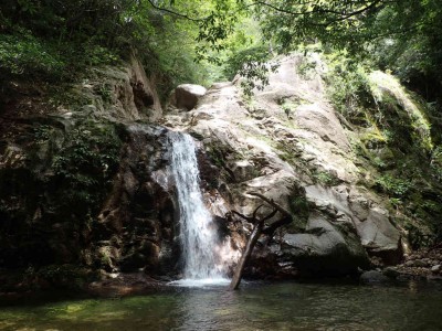 P8020049.jpg (110.49 KiB) 閲覧された回数 6002 回 白雲の滝