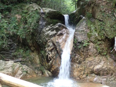 P8020060.jpg (107.78 KiB) 閲覧された回数 5990 回 5m滝