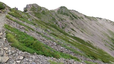 森林限界の稜線を歩く
