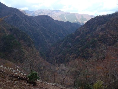 桧塚山腹道の山抜け