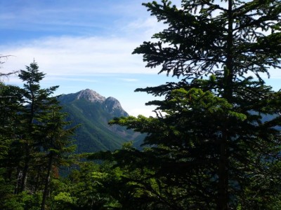 仙丈ヶ岳への登山道からみえた甲斐駒ヶ岳の摩利支天