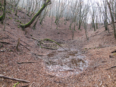 IMG_4453.jpg (967.99 KiB) 閲覧された回数 7653 回 迷い池 弟