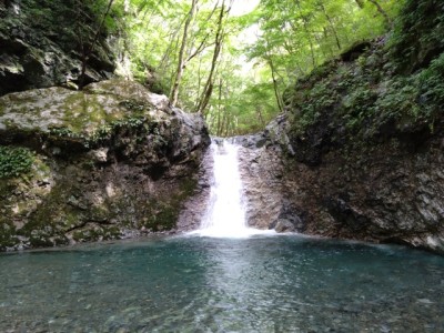 上十五日？ - コピー.jpg