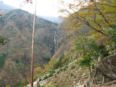 IMG_4438.jpg (734.18 KiB) 閲覧された回数 7575 回 伐採地と布引滝