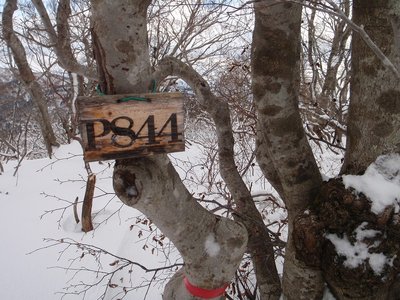 山頂を目の前に撤退(-_-;)