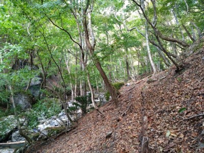 16985523318333 - コピー.jpg