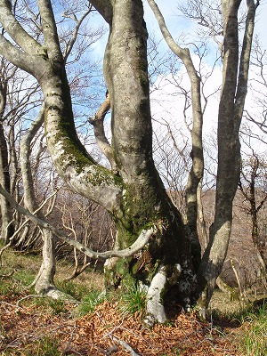 俺の腰、測ってみてよ。ケッコウあると思うよ