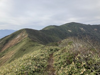 たおやかな稜線.jpg (533.6 KiB) 閲覧された回数 7404 回 起伏の緩やかな稜線