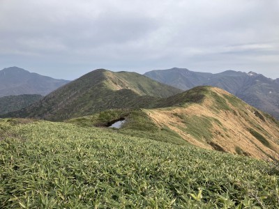 五葉の泉.jpg (546.29 KiB) 閲覧された回数 7120 回 稜線上に水をたっぷりと蓄えた五葉の泉
