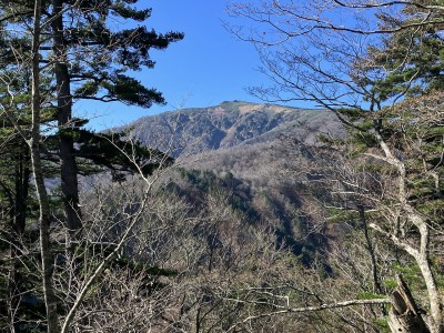 三岩岳遠望.jpg (841.13 KiB) 閲覧された回数 7595 回 岩が目立つのが三岩岳