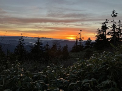 朝焼け.jpg (341.73 KiB) 閲覧された回数 7595 回 朝焼け