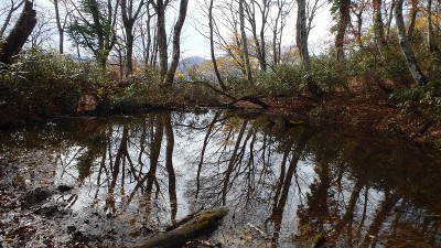 PB150054.jpg (520.8 KiB) 閲覧された回数 4719 回 池