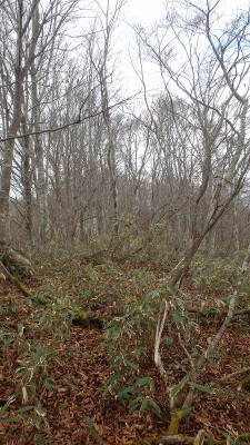 PB150086.jpg (509.54 KiB) 閲覧された回数 4716 回 北尾根