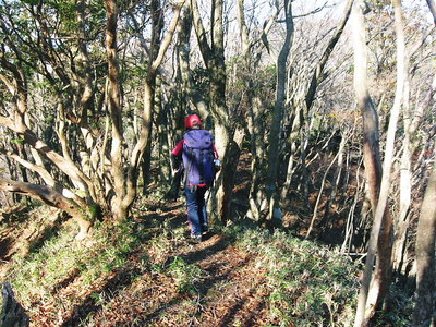 ● 大きなザック背負った新人さん、軽い足取りだよ