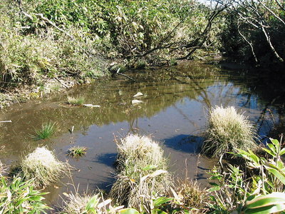 ● 雨乞池、農作物が実りますように