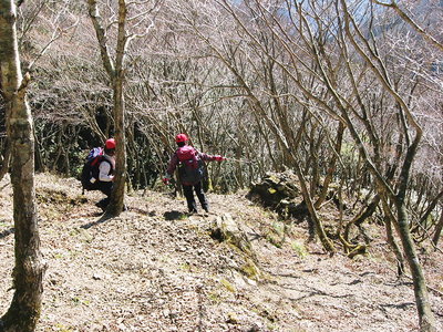 ● 稲ケ谷への降り、南斜面で暖かいのだワン