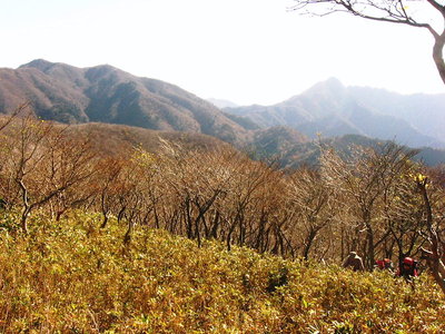 ● 雨乞岳への登り、登り易くなってました