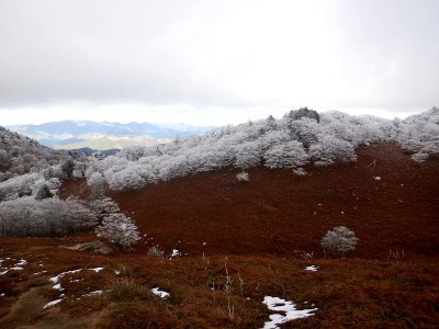 11/25前山スキー場跡