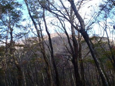 手前がソノド、奥が霊仙山