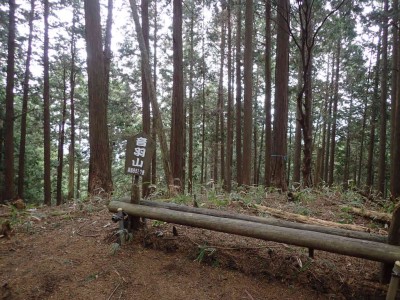 PC190023.jpg (114.88 KiB) 閲覧された回数 6069 回 音羽山