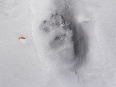 20231224-17.jpg (44.37 KiB) 閲覧された回数 8404 回 20231224-17.jpg