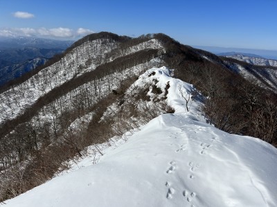 横山岳西峰に向かう途中のヤセ尾根。