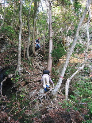 ロープ場.JPG (186.34 KiB) 閲覧された回数 5527 回 ● ロープ場、昔が思い返せませんでしたワン