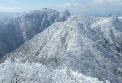2013年2月の様子