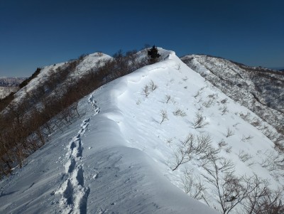 雪庇の向こうに金糞岳