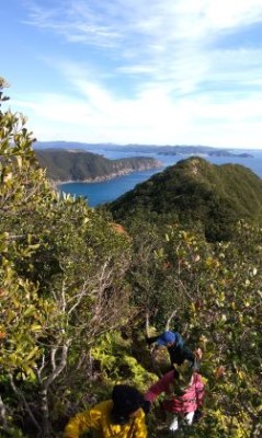 赤石花への断崖絶壁を歩くs.jpg (33.35 KiB) 閲覧された回数 2187 回 シダ漕ぎしながらの尾根道