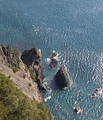 絶壁から見下ろす